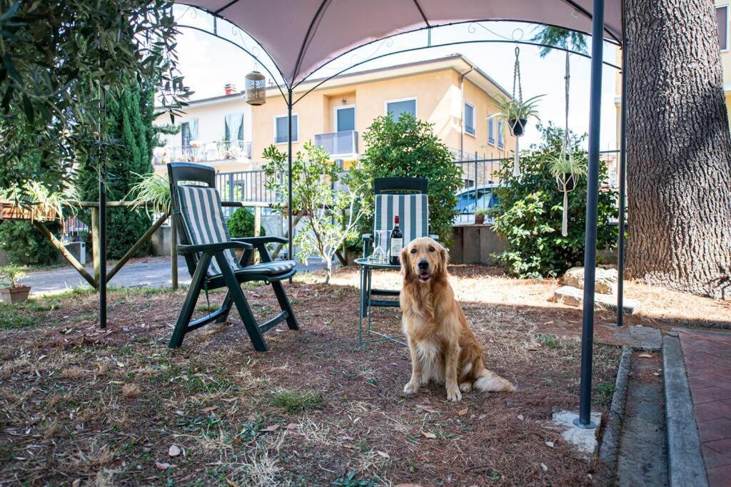 Easy Florence Σκαντίτσι Εξωτερικό φωτογραφία